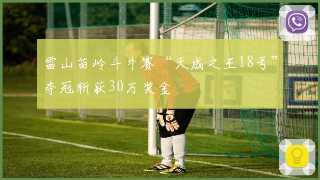 雷山苗岭斗牛赛“天成之王18号”夺冠斩获30万奖金